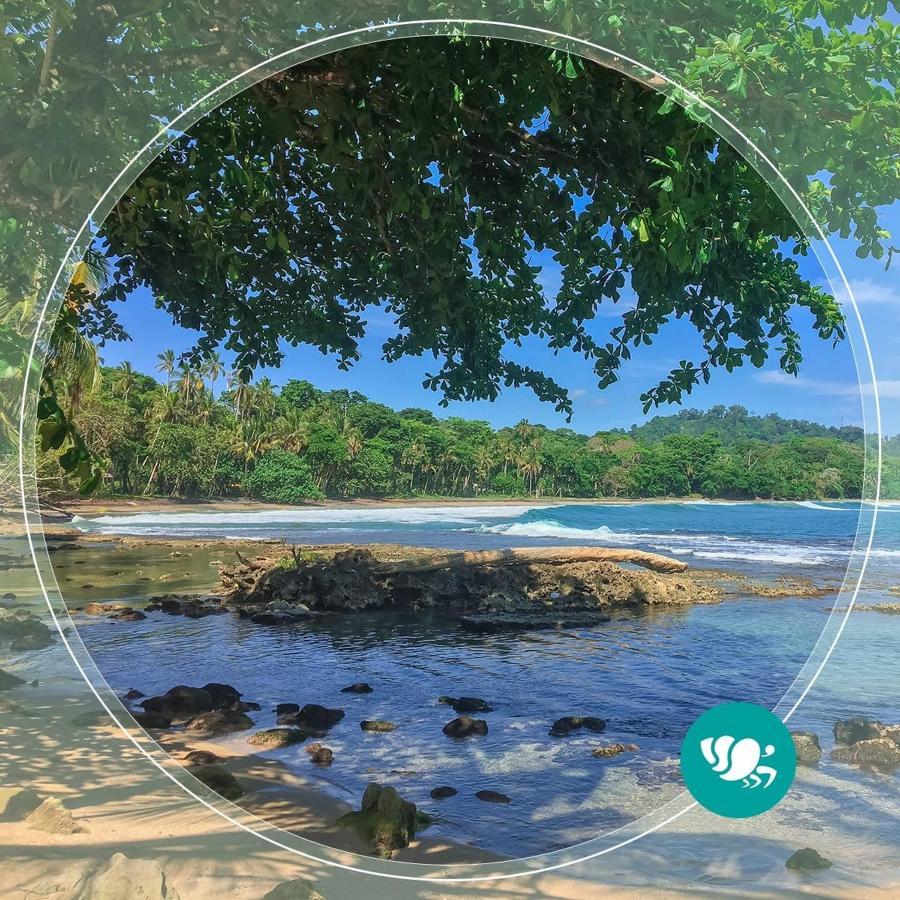 Villas Del Caribe Puerto Viejo de Talamanca エクステリア 写真