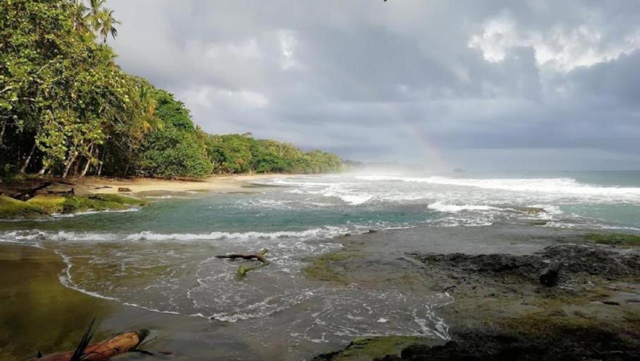 Villas Del Caribe Puerto Viejo de Talamanca エクステリア 写真