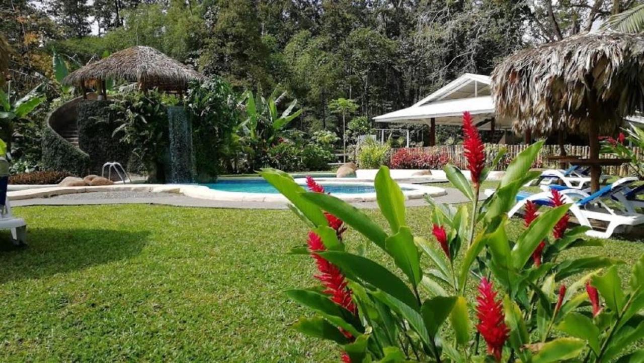 Villas Del Caribe Puerto Viejo de Talamanca エクステリア 写真