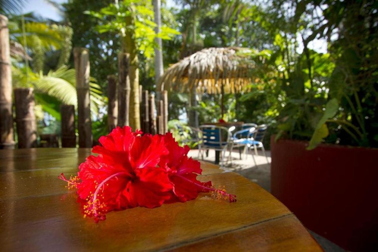 Villas Del Caribe Puerto Viejo de Talamanca エクステリア 写真