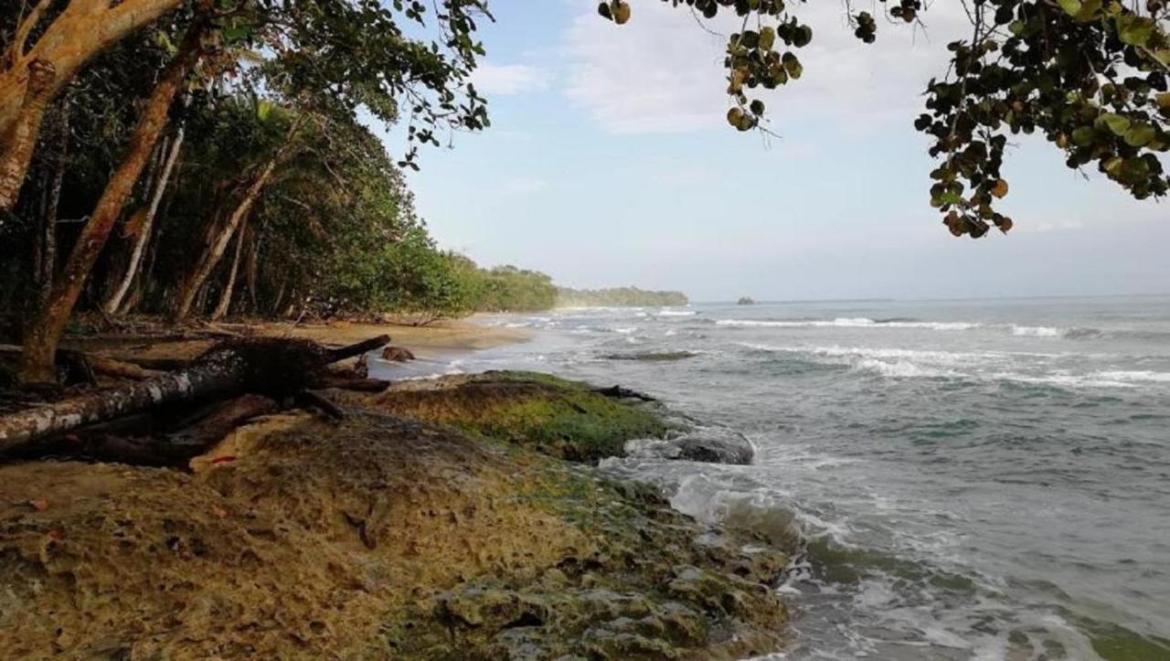 Villas Del Caribe Puerto Viejo de Talamanca エクステリア 写真