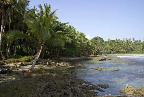 Villas Del Caribe Puerto Viejo de Talamanca エクステリア 写真