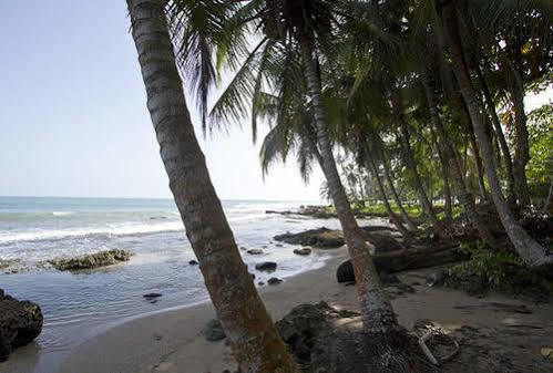 Villas Del Caribe Puerto Viejo de Talamanca エクステリア 写真
